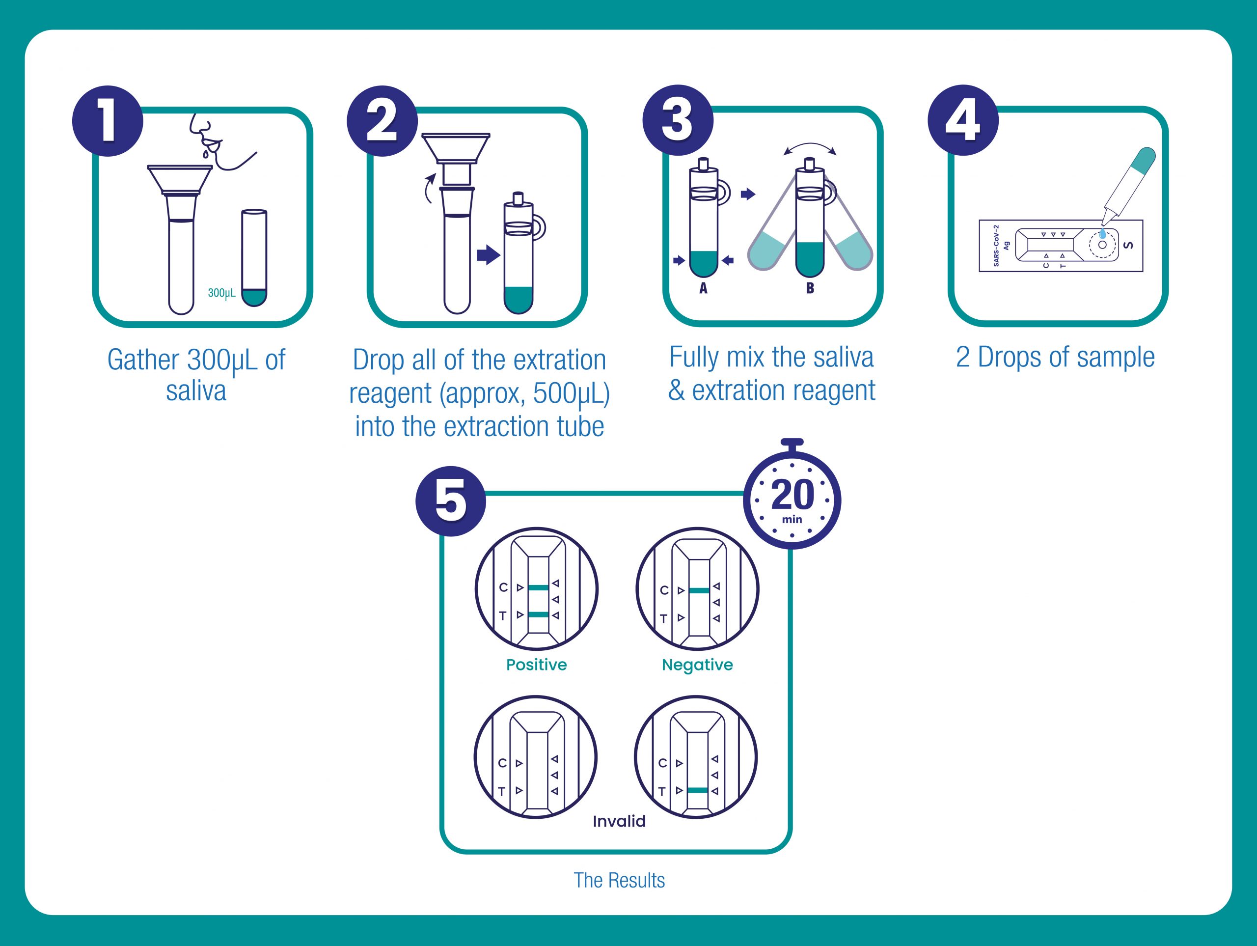 Test Kit (Saliva)